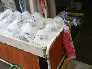 2009/05/02�@�劘������_20