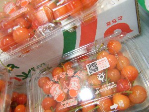 2009/05/02�@�劘������_29