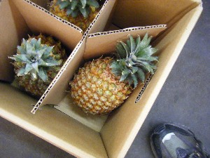2009/05/02�@�劘������_34