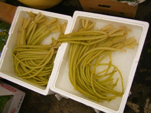 2009/05/02�@�劘������_41