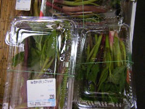 2009/05/02�@�劘������_43