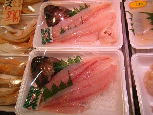 2009/05/02�@�劘������_56
