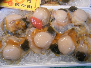 2009/05/02�@�劘������_70