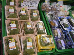 2009/05/02�@�劘������_4