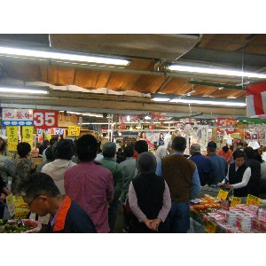 2009/05/02�@�����G����̗w�V���E_11
