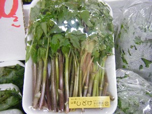2009/05/09 ���T�̔����ł�_5