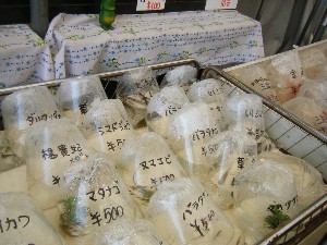 2009/05/09 ���T�̔����ł�_11