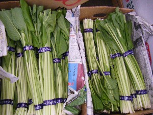 2009/05/09 ���T�̔����ł�_35