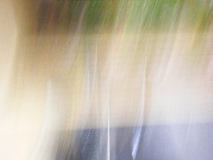 2009/05/09 ���T�̔����ł�_49