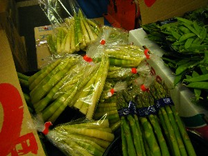 2009/05/16 ���T�̔����_3
