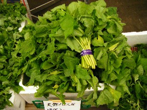 2009/05/16 ���T�̔����_20