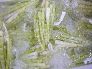 2009/05/16 ���T�̔����_49