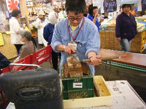 2009/05/17 �����������L_6