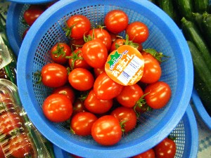 2009/05/23 ���T�̔����ł�_1