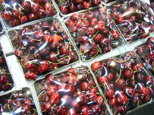 2009/05/23 ���T�̔����ł�_10