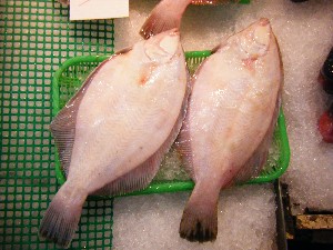 2009/05/23 ���T�̔����ł�_16