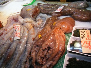 2009/05/23 ���T�̔����ł�_17