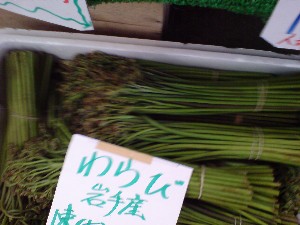 2009/05/30 ���T�̔����ł�_5