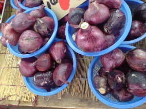 2009/05/30 ���T�̔����ł�_9