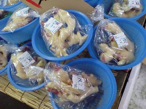 2009/05/30 ���T�̔����ł�_11
