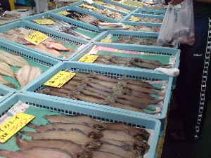 2009/05/30 ���T�̔����ł�_22