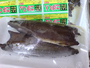 2009/05/30 ���T�̔����ł�_25