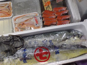 2009/05/30 ���T�̔����ł�_30