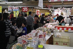 2009/05/31 ���[����������_23