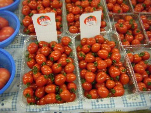 2009/06/26 ���T�̔����ł�_3