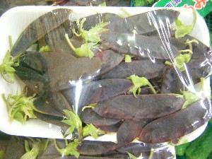 2009/06/26 ���T�̔����ł�_4
