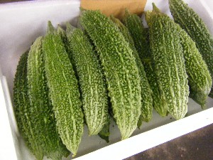 2009/06/26 ���T�̔����ł�_6