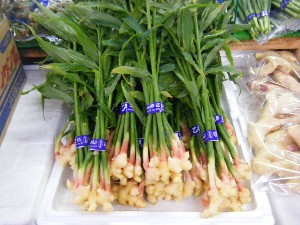 2009/06/26 ���T�̔����ł�_7