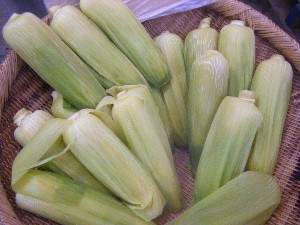 2009/06/26 ���T�̔����ł�_16