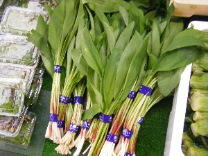 2009/06/26 ���T�̔����ł�_20