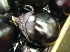 2009/06/26 ���T�̔����ł�_28