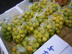 2009/06/26 ���T�̔����ł�_29