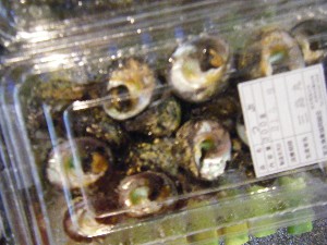 2009/06/26 ���T�̔����ł�_31