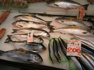 2009/06/26 ���T�̔����ł�_32
