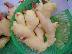 2009/06/13 ���T�̔����ł�_2