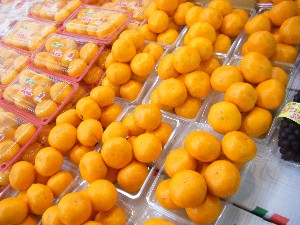 2009/06/13 ���T�̔����ł�_5