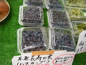 2009/06/13 ���T�̔����ł�_7