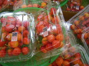 2009/06/13 ���T�̔����ł�_10