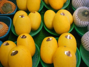 2009/06/13 ���T�̔����ł�_11