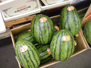 2009/06/13 ���T�̔����ł�_17