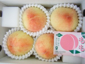 2009/06/13 ���T�̔����ł�_18