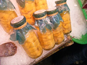 2009/06/13 ���T�̔����ł�_36