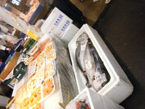 2009/06/13 ���T�̔����ł�_40