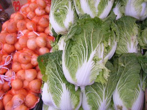 2009/06/20 ���T�̔����ł�_4
