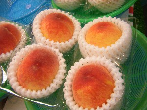 2009/06/20 ���T�̔����ł�_8