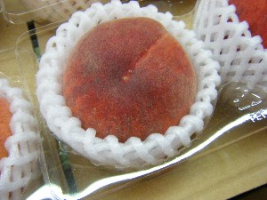 2009/06/20 ���T�̔����ł�_17
